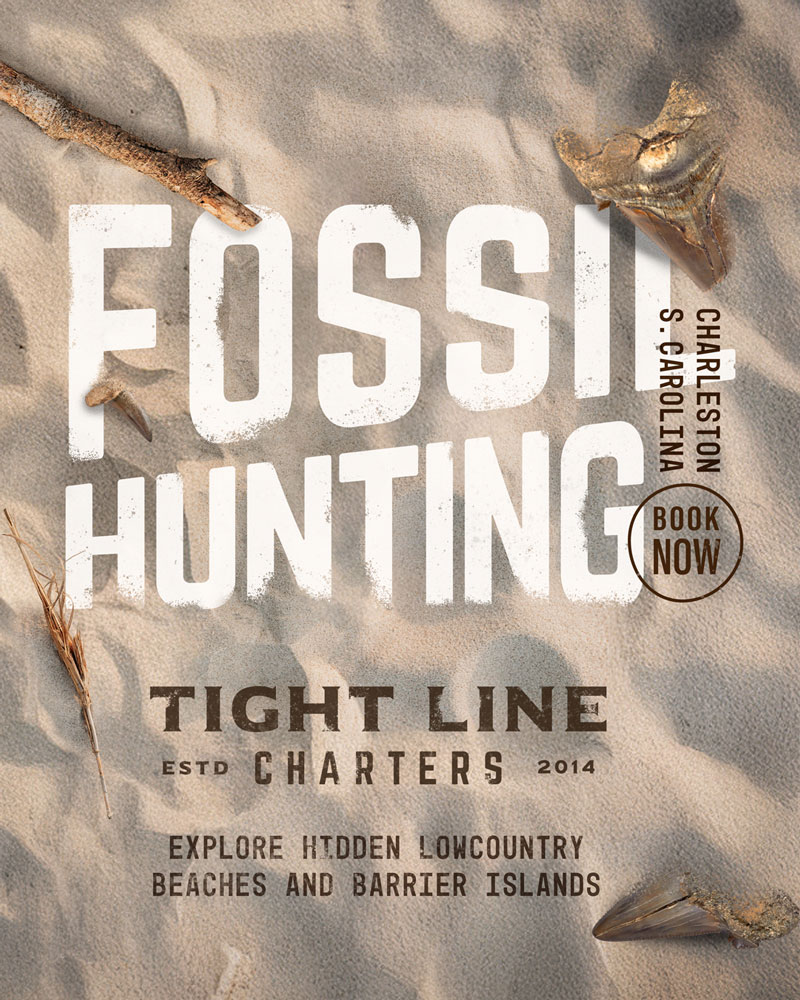 Tight Line Charters Fossil Hunting Excursions